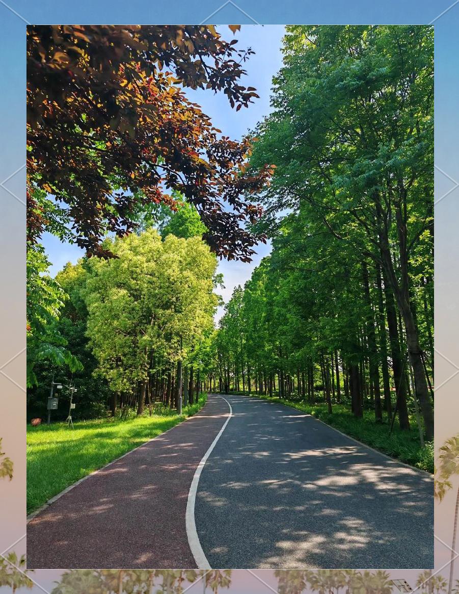 特色绿道跑，城市中的绿色运动之旅的简单介绍