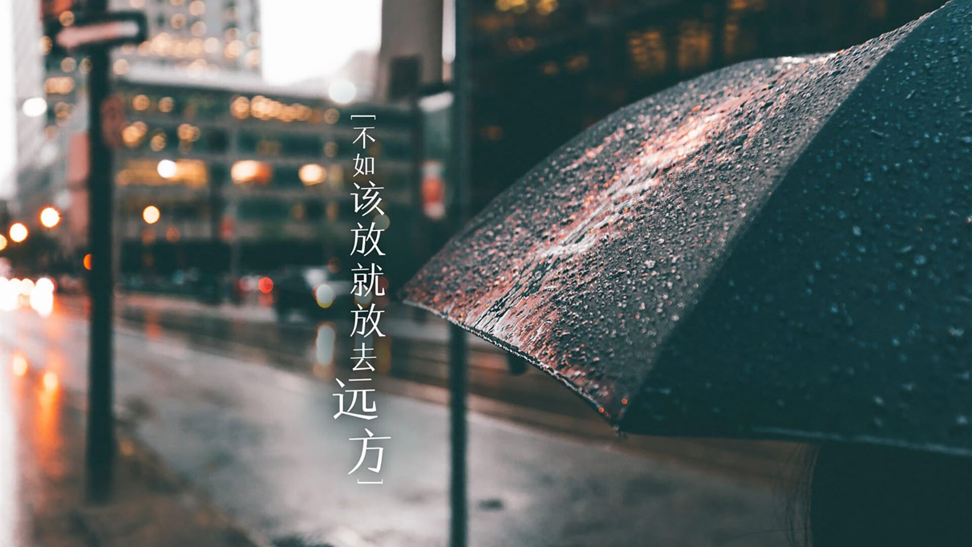 爱游戏登录入口-赛场外：粉丝文化与粉丝互动新潮流，赛场啥意思