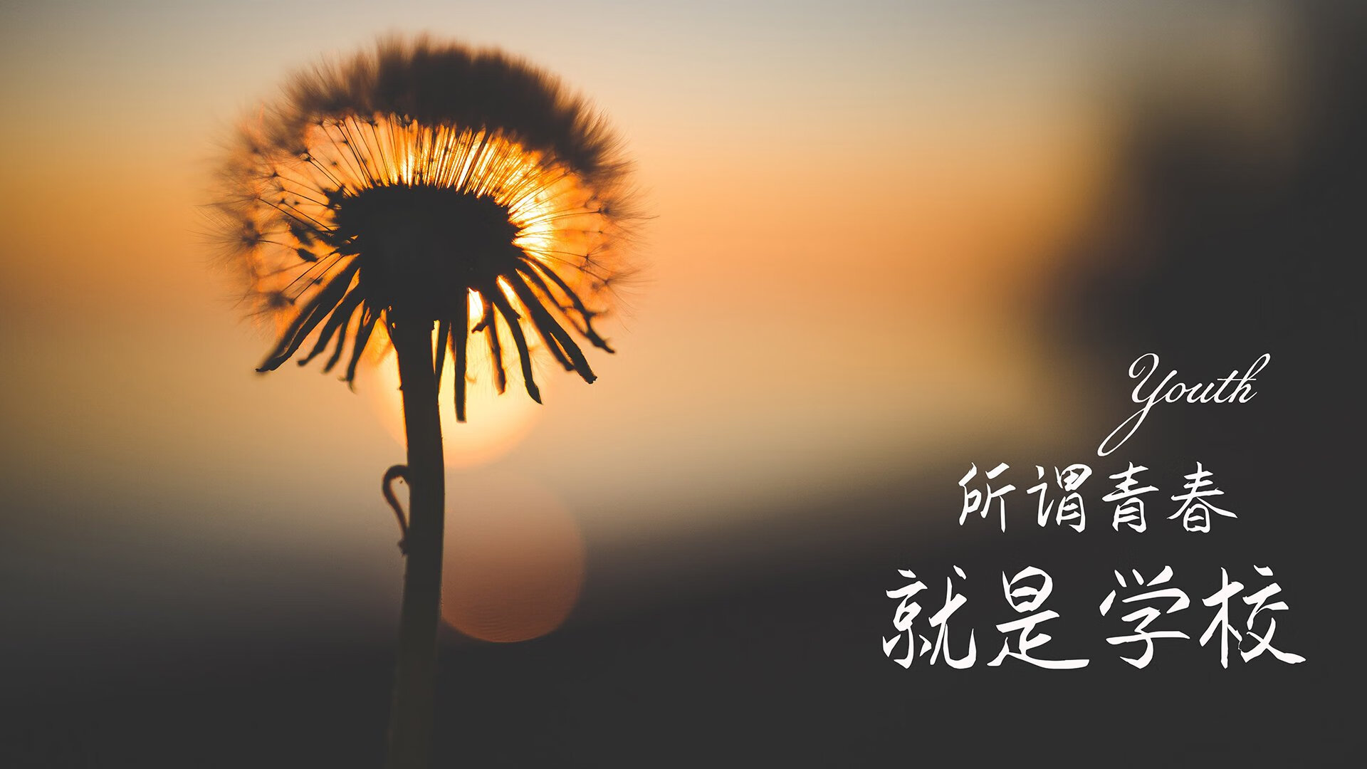 爱游戏中国官方登录入口网站-电竞城市政策扶持力度持续加大，电竞城市政策扶持力度持续加大的措施