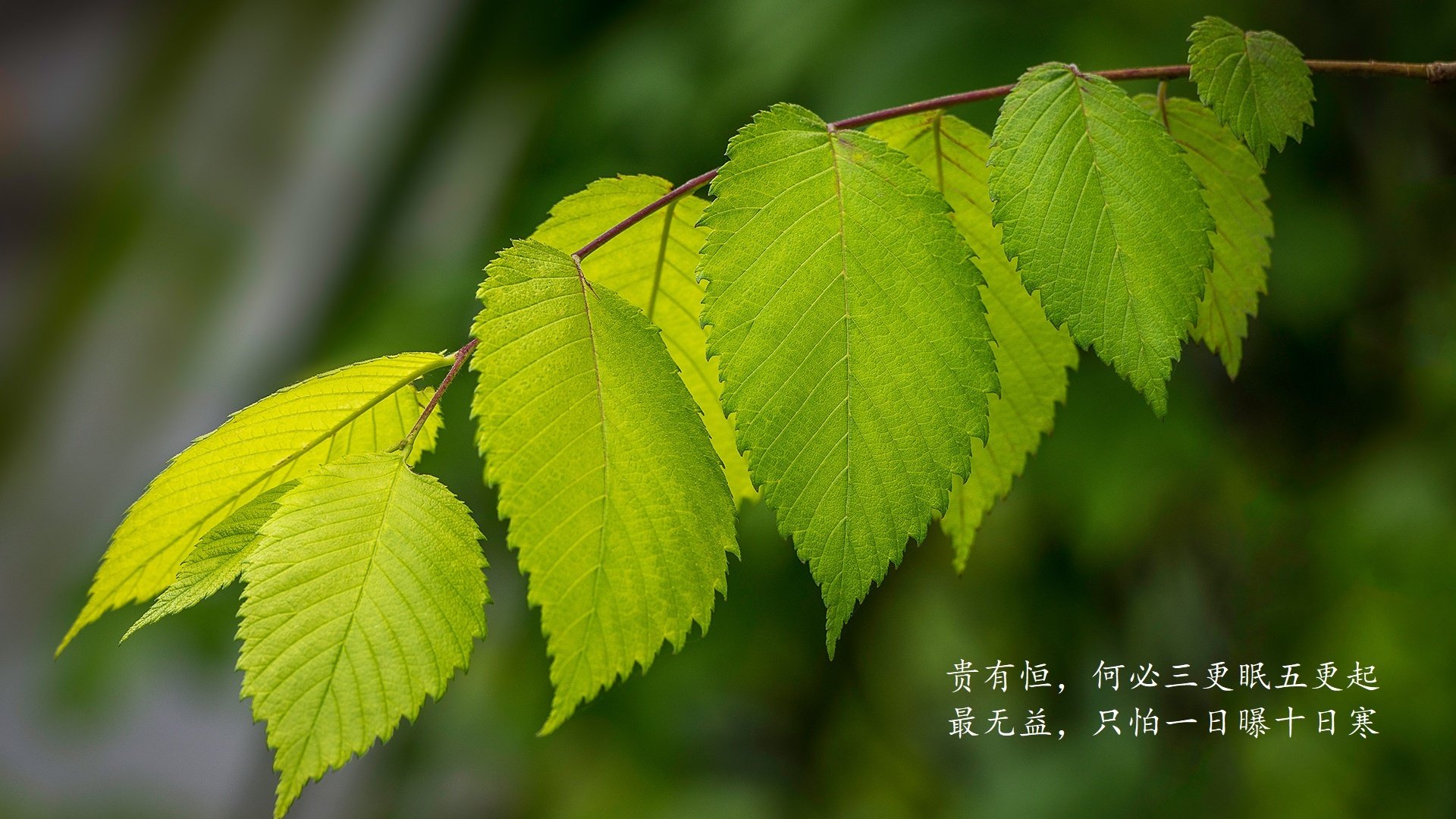 高校体育专业发展趋势预测与对策，高校体育发展现状