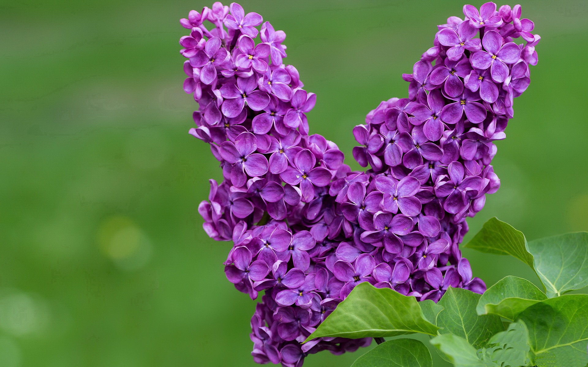 爱游戏体育APP下载-中国香港队赛制分析：如何通过细致配合在团体赛中打出高效配合