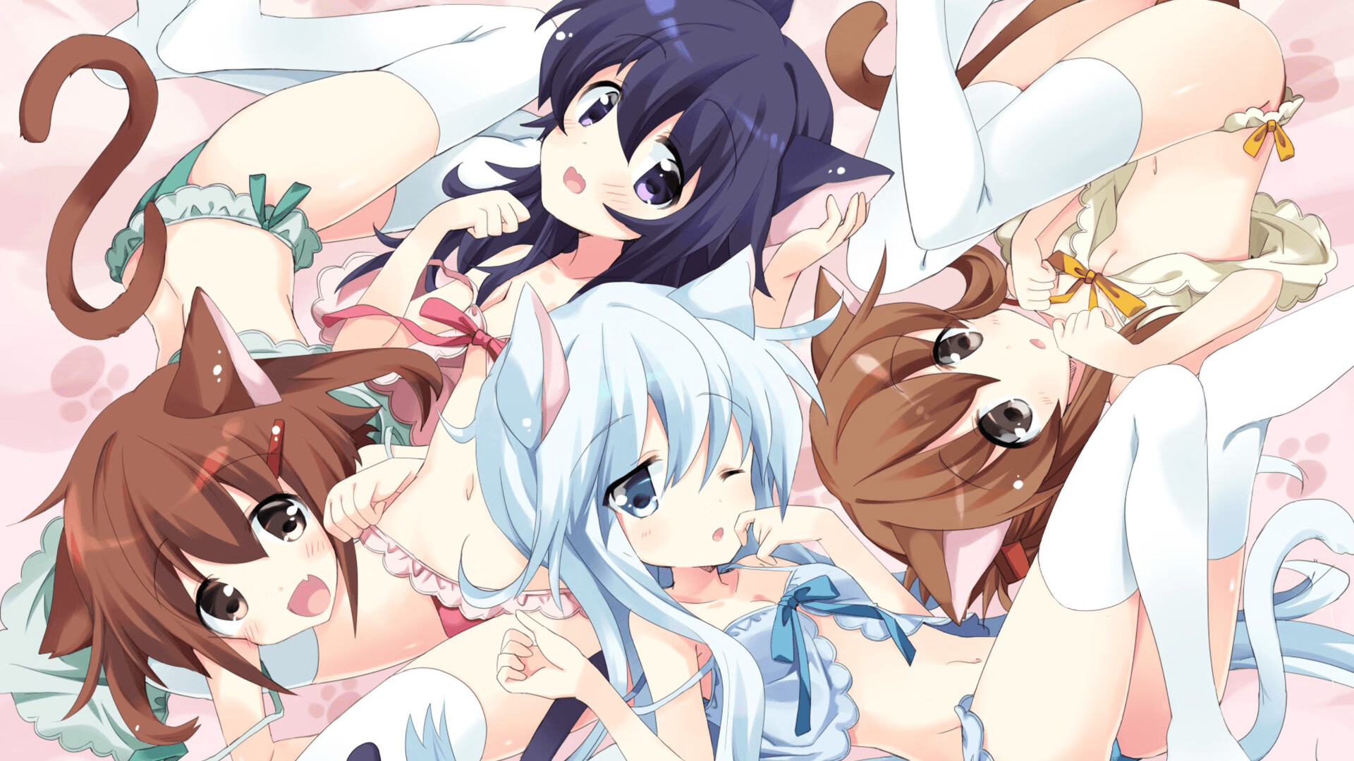 体育医疗志愿队参加国家应急演练，体育展示颁奖应急预案