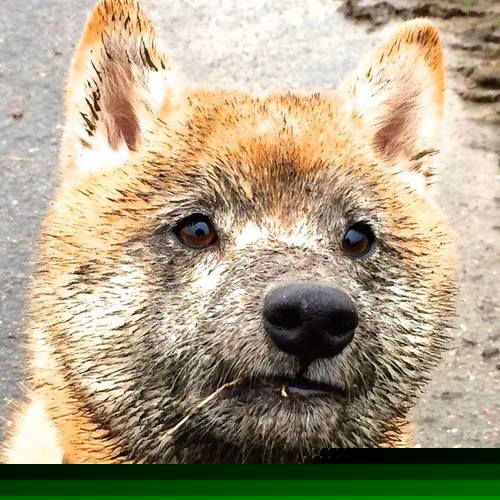 AYX SPORTS-拜仁未来将构建“多核控场”体系