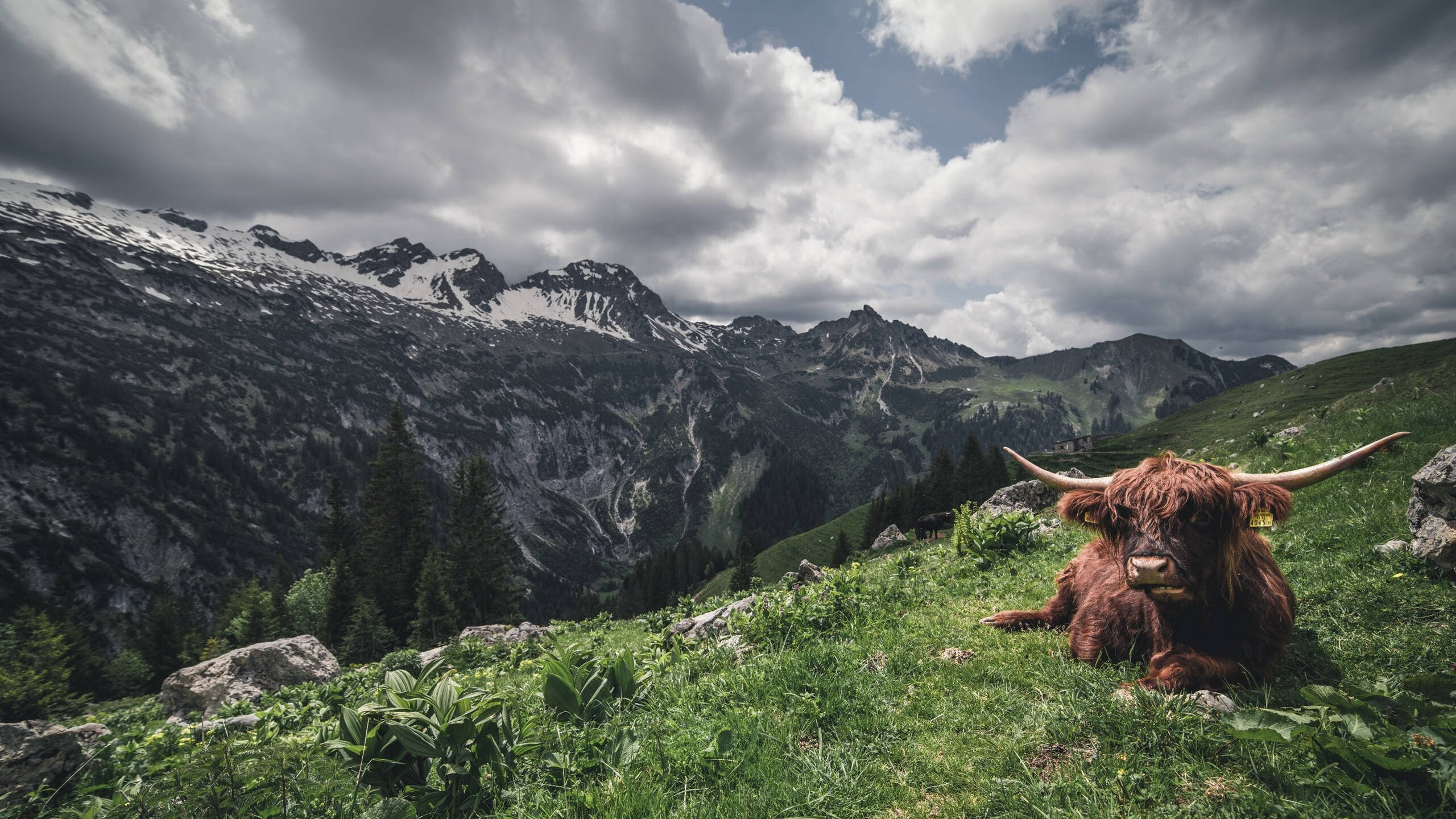 AIYOUXI.COM-巴尔：他在全黑队中场的稳定发挥让球队的进攻和防守形成完美平衡