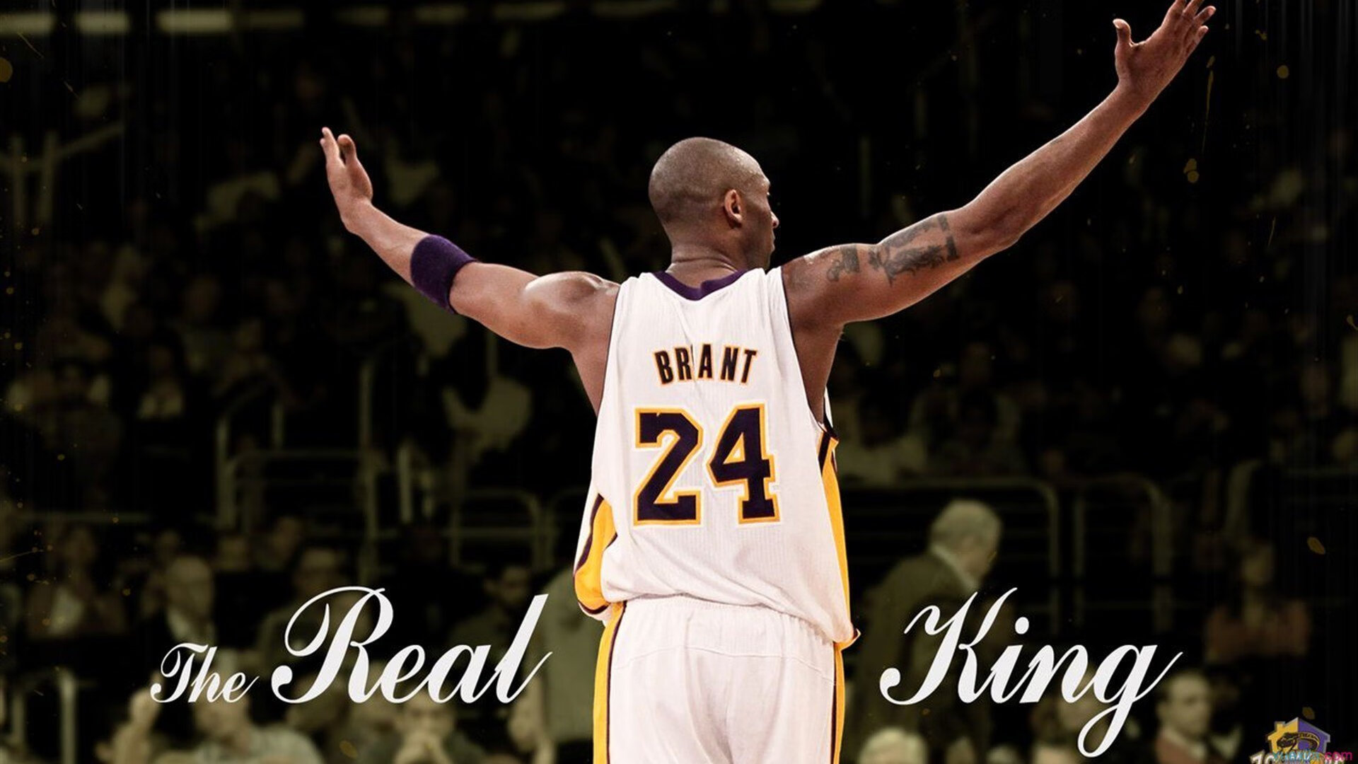 中国篮球裁判培训体系建设再深化,制度日益完善,篮球裁判培训报名